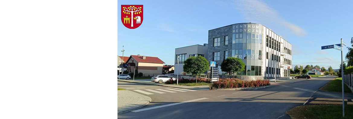 Główna idea działalności